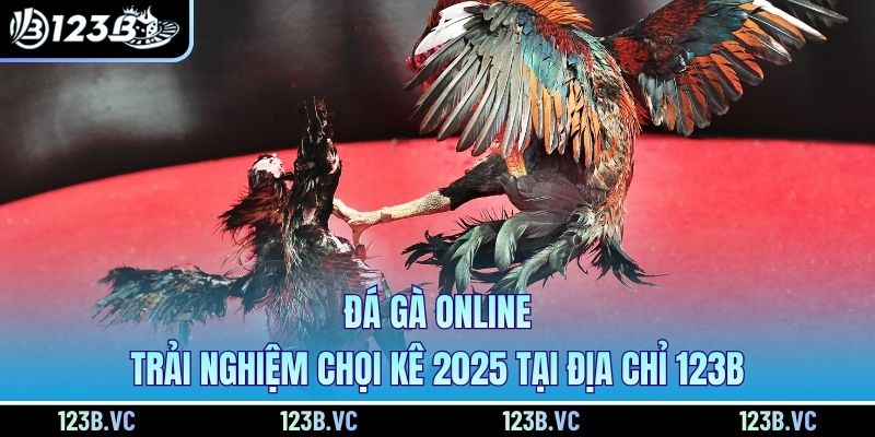 Đá Gà Online - Trải Nghiệm Chọi Kê 2025 Tại Địa Chỉ 123B